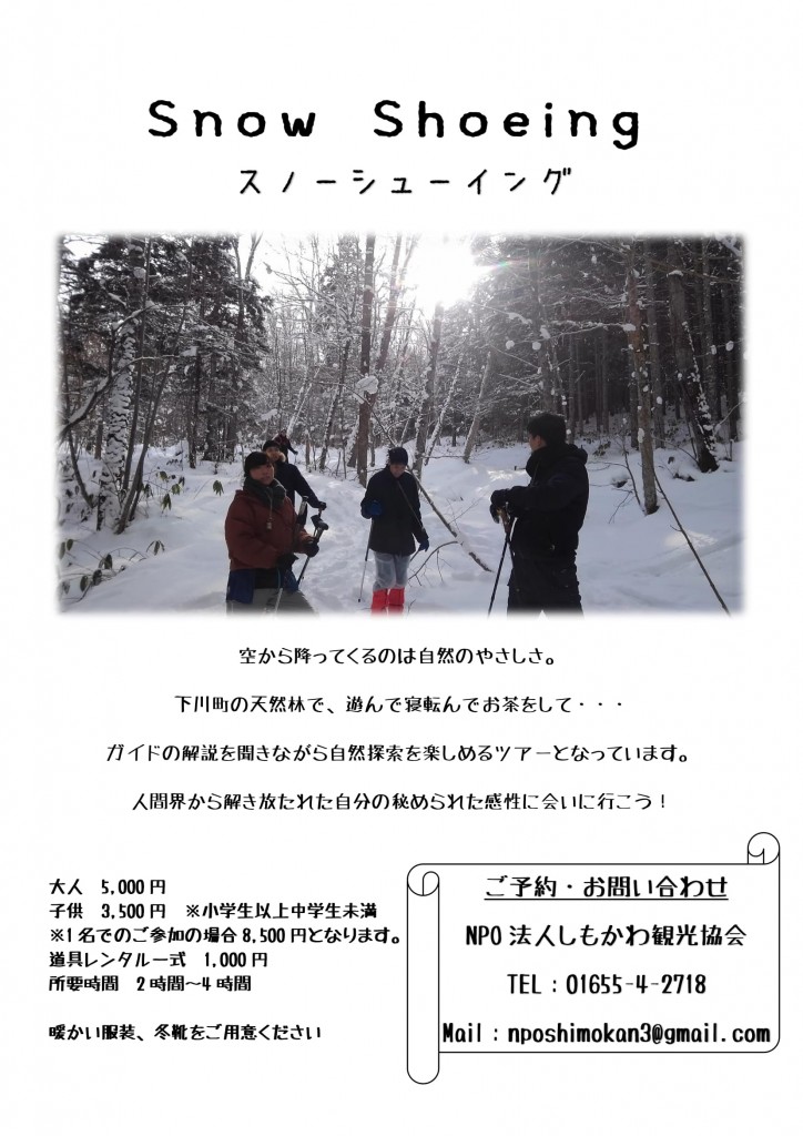 Snow Shoeing　チラシ-1